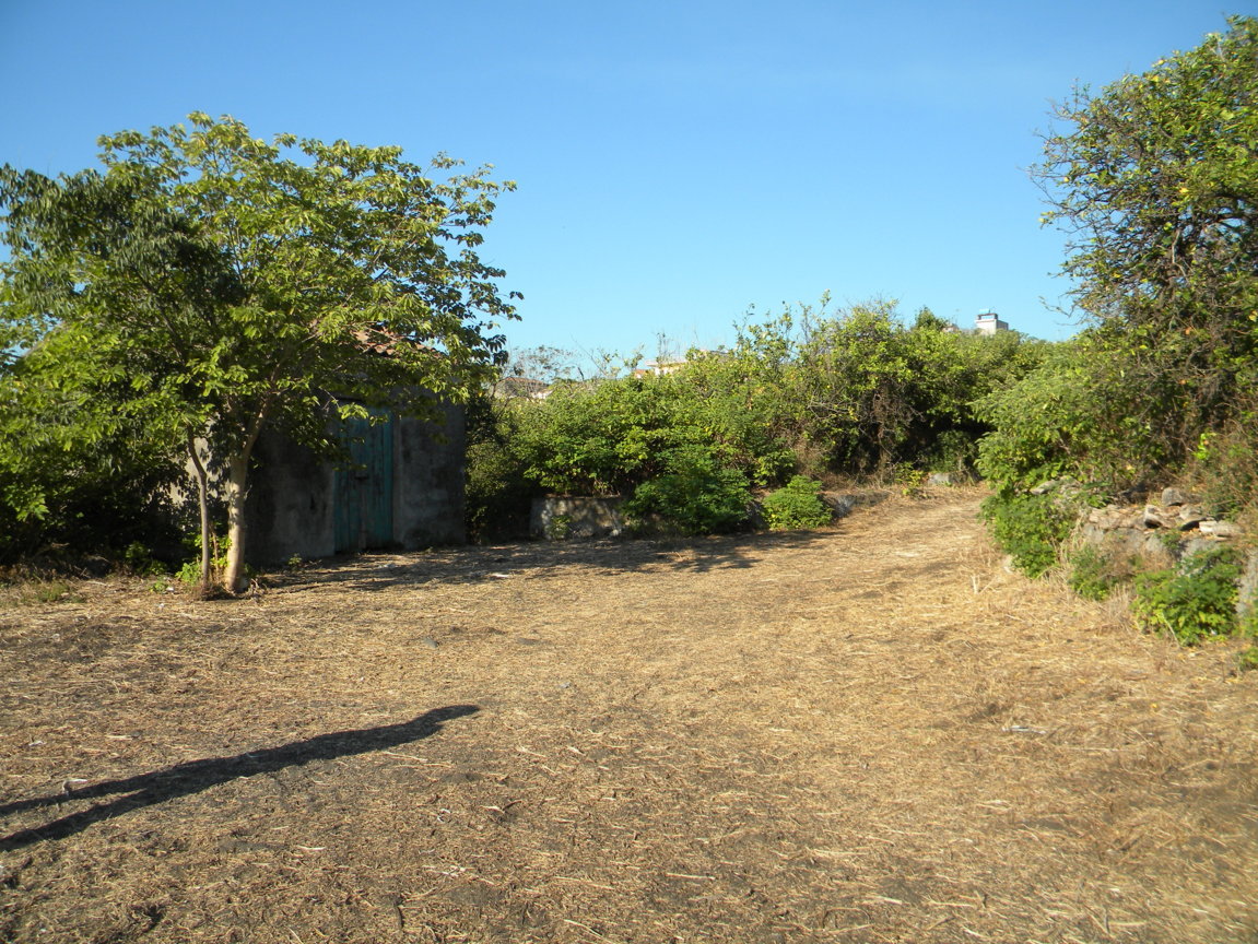 DSCN8073 .JPG
